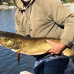 what fish live in lake monona county3
