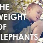 The Weight of Elephants2