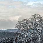 odenwald im winter1
