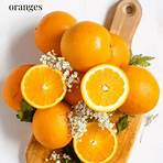 orange juice recipe2
