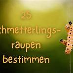 schmetterlinge raupen3