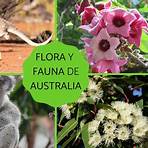 flora y fauna de australia wikipedia3