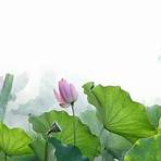 lotus blossom images2