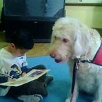 Therapy Dogs1