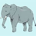 elefante disegno1