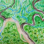 Amazon Watershed1