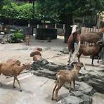 guangzhou zoo china2