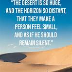 A Stop in a Desert1