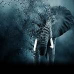 the ivory game movie online full watch free full movies online free1