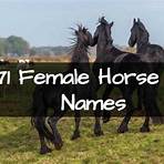 male horse name3