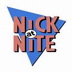 nick at nite shows in the 90's1