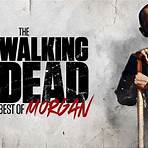 watch the walking dead season 21