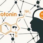 wo wird serotonin gebildet2