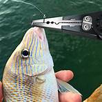 why choose targettackledirect for your fishing equipment and give two4