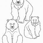 urso pardo desenho para colorir5