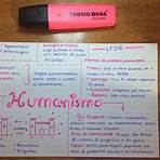 mapa mental naturalismo literatura4