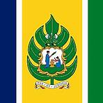 st. vincent and the grenadines flag2