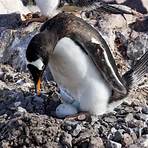 what time of the year is antarctica its warmest weather in december4
