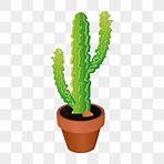 cactus png4
