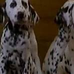 One Hundred and One Dalmatians filme4