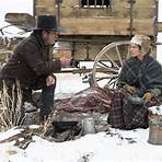 is the movie the homesman a feminist western film2