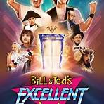 Bill & Ted's Excellent Adventure1
