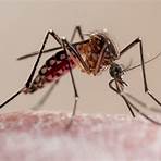 malária é contagiosa2