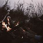 Campfire Stories2