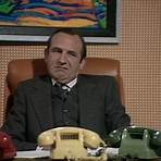 The Fall and Rise of Reginald Perrin1