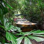 kuranda village rainforest4