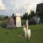 camping køge sjælland5