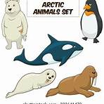 arctic animals cartoon3