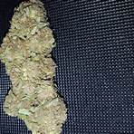 mr nice weed strain side effects4