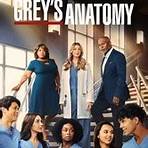 onde assistir grey's anatomy todas temporadas2