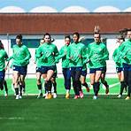 vfl wolfsburg u231