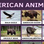 American Animals3
