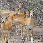 Guindy National Park Chennai4