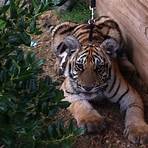 greater wynnewood exotic animal park pa website login page3
