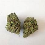 trainwreck cannabis1