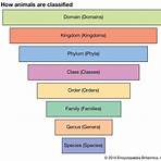 what does phalangium mean in science definition for kids3