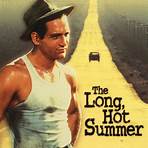 The Long, Hot Summer1