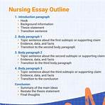 practical nursing essay examples high school2