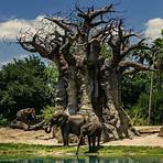 animal kingdom wild africa trek review1