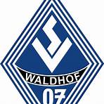 sv waldhof mannheim fanshop3