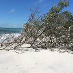 What are the hours of entry at Caladesi Island state park?2