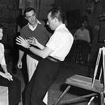 vincente minnelli for beginners3