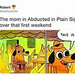 abducted in plain sight meme2