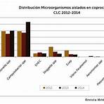 rev med. clin. condes4