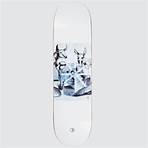 polar skateboards3