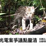 台灣石虎保育協會1